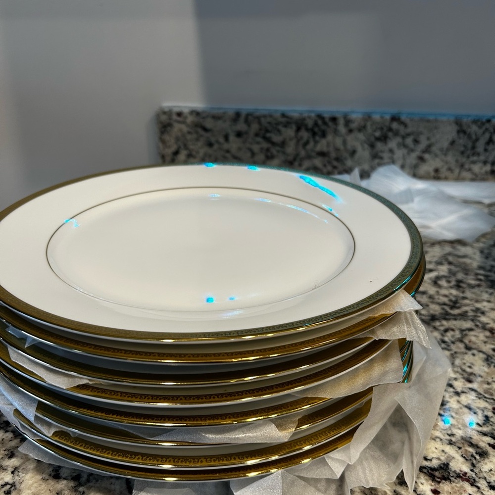 Elegant Gold Rimmed Dinner Plates